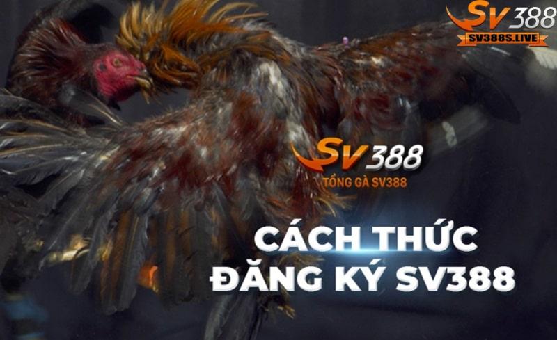 Hướng dẫn cách đăng ký SV388