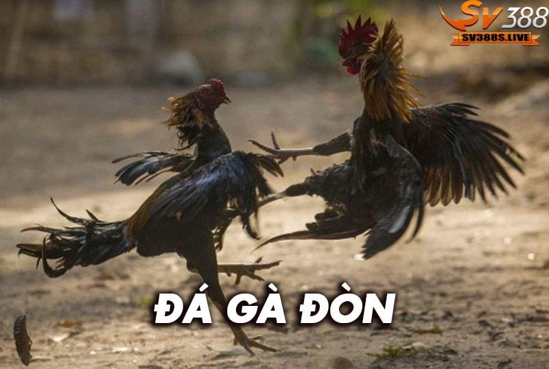 Tìm hiểu loại hình đá gà đòn