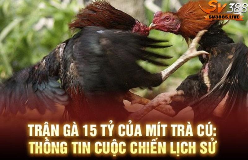 Thông tin chi tiết về trận gà 15 tỷ