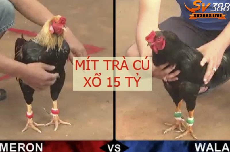 Trận gà 15 tỷ là một sự kiện gây chú ý trên các phương tiện truyền thông