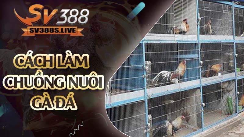 cách làm chuồng nuôi gà đá