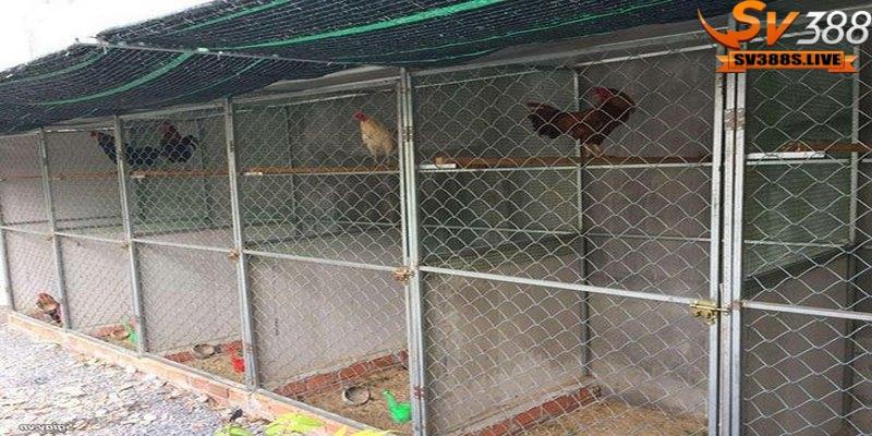 Với mô hình làm chuồng gà đá bằng sắt sẽ có thời gian sử dụng khá lâu