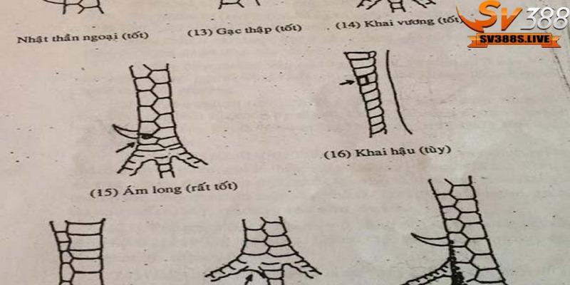 Kinh kê gà chọi là một tác phẩm quý giá truyền đạt từ thế hệ ông cha