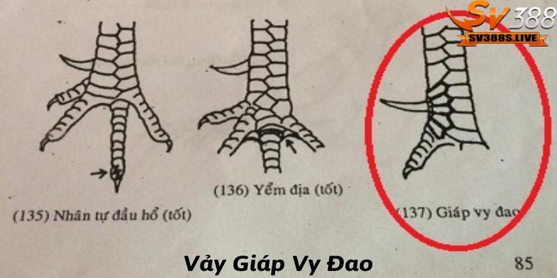 Kinh kê cung cấp những chỉ dẫn chi tiết và chính xác