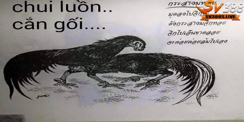 Bộ lông mã của gà cũng trở thành một tiêu chí quan trọng trong chọn gà