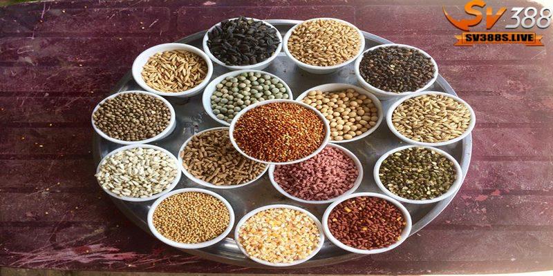Ngũ cốc cho gà đá là hỗn hợp của nhiều loại hạt dinh dưỡng khác nhau