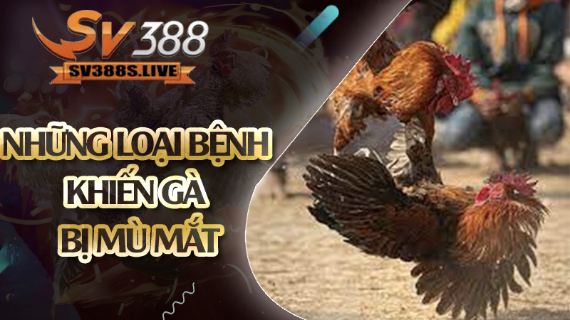 những loại bệnh khiến gà bị mù mắt