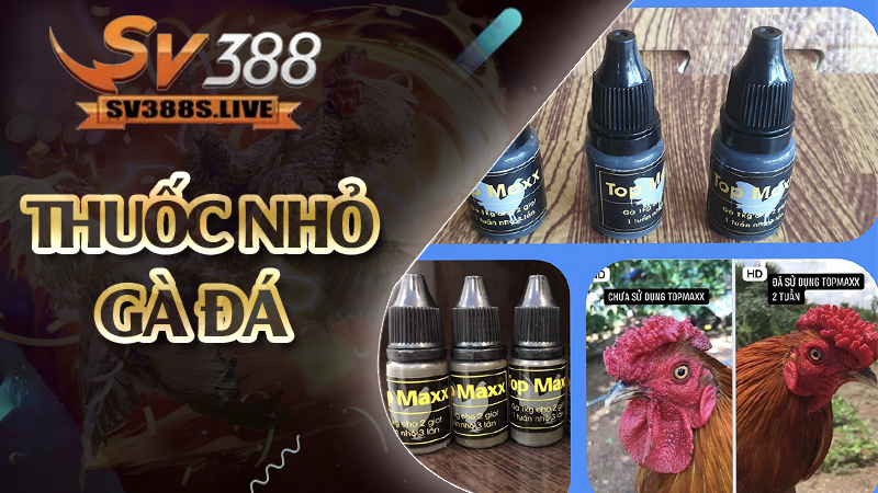 Thuốc nhỏ gà đá