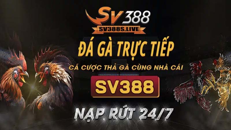 đá gà trực tiếp