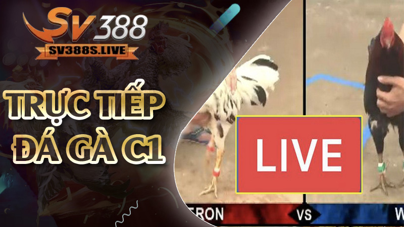 trực tiếp đá gà c1