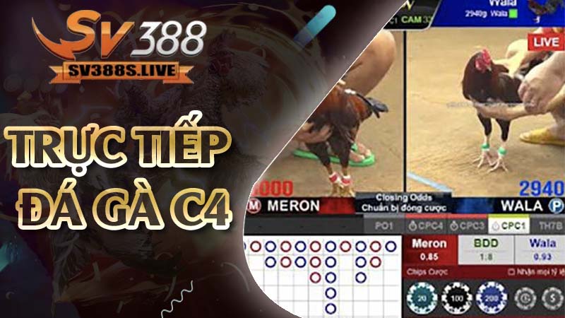 trực tiếp đá gà C4